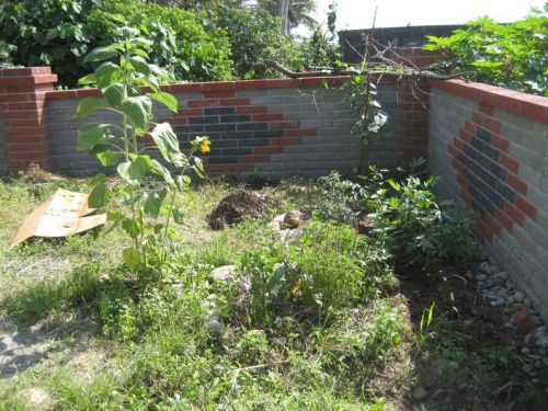 我和玉子在割下來的草上鋪上覆蓋物，擴大我們的菜園。 pic: Yuzi and I extending the garden with mulch on top of cut weeds.