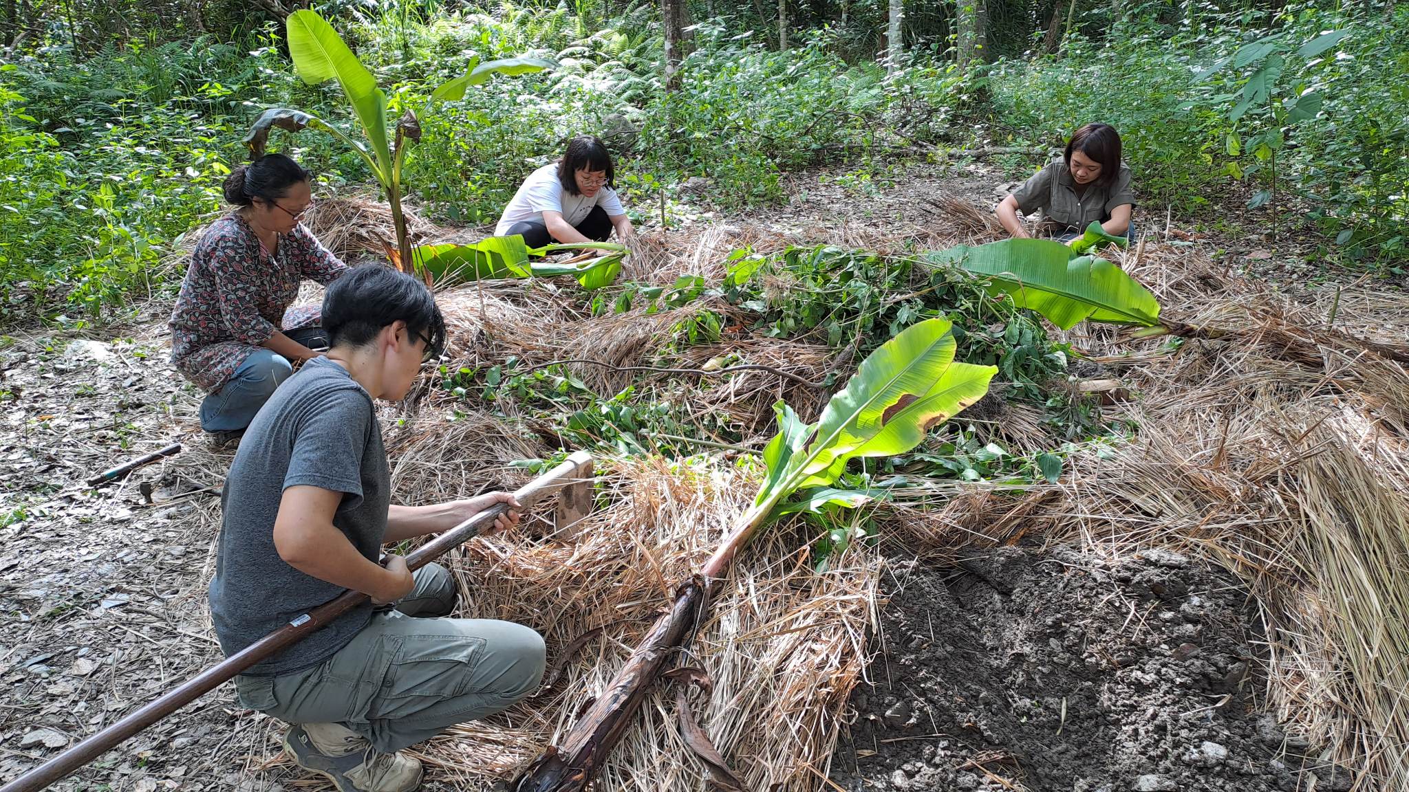 種完香蕉馬上就可以就地解決中水和廚餘的問題啦！